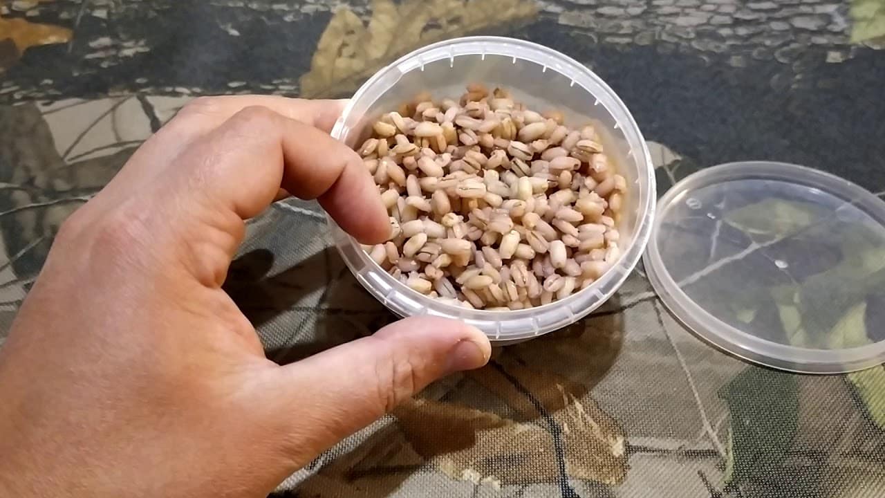 Как сварить и запарить перловку для рыбалки: рецепты прикормки и насадки