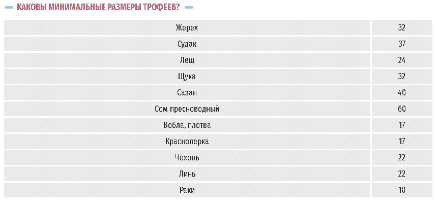 Широковское водохранилище: рыбалка, где находится, карта для рыболовов