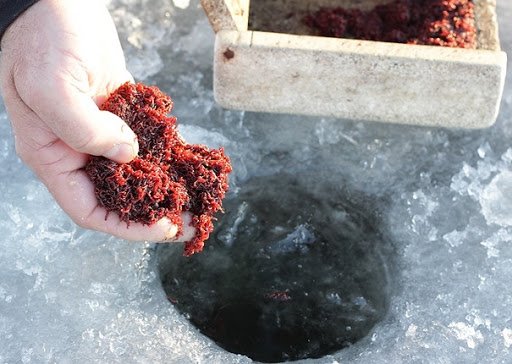 Собираем снасть покаток для зимней рыбалки своими руками и успешно ловим