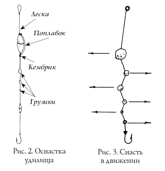 Ловля воблы в Астрахани весной - когда, как, где и на что ловить?
