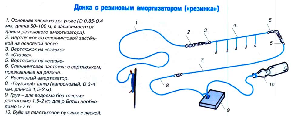 Ловля сазана осенью: где искать и на что ловить