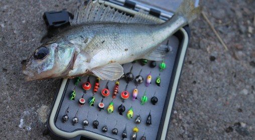 Азы мормышинга для начинающих: приманки, снасти, тактика ловли