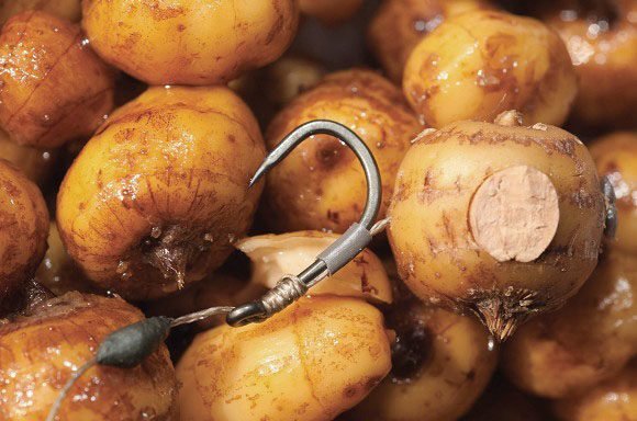 Тигровый орех для ловли карпа: как приготовить самостоятельно и что купить?