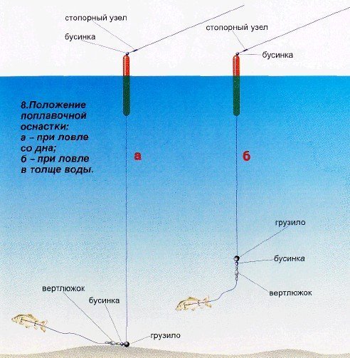 Окунь осенью: повадки и ловля в сентябре, октябре и ноябре
