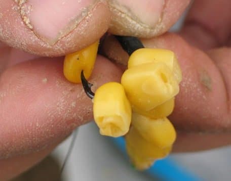 Кукуруза для рыбалки: приготовление, как варить, насаживать и ловить на зерна