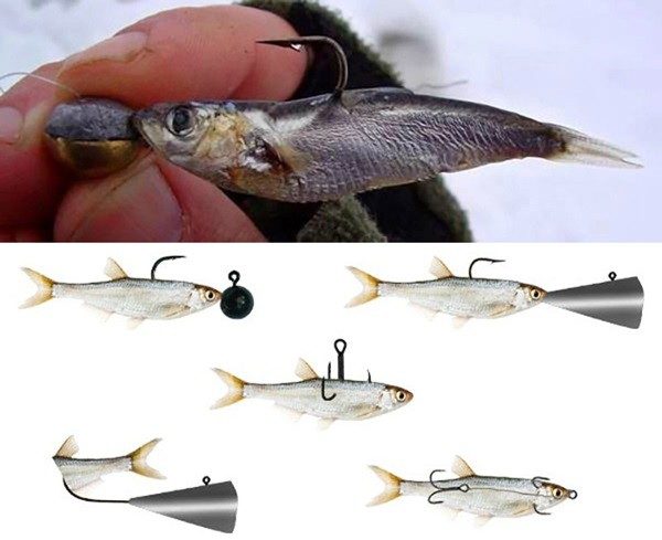 Как правильно ловить судака на тюльку зимой: оснастка, насадка, рыбалка