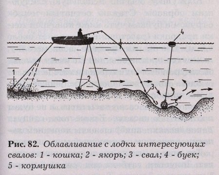 Ловля сазана осенью: где искать и на что ловить