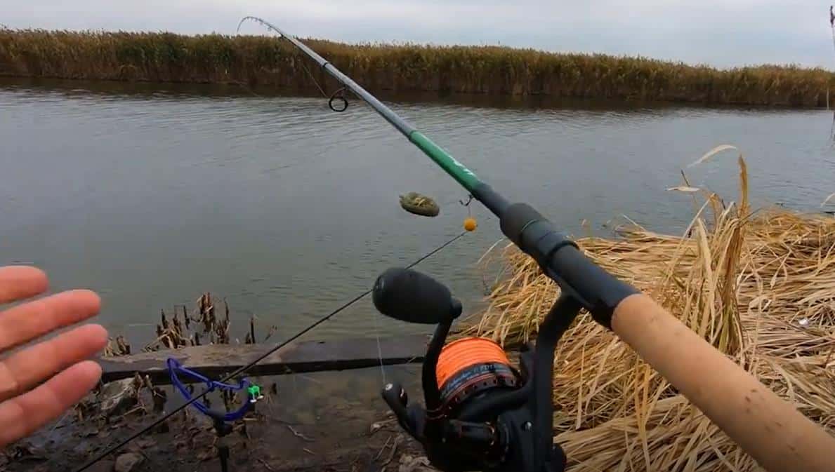 Рыбалка в ноябре: ловля с берега и лодки, календарь клева 2025