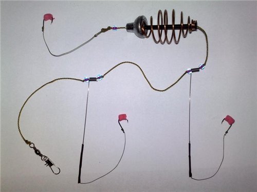 Успешная и эффективная рыбалка на карася: ловля весной, летом и осенью