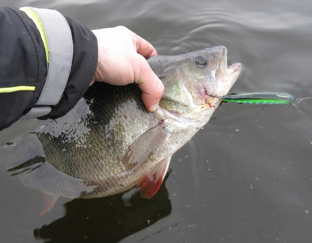 Что такое воблеры минноу, правильный выбор и подход к твичингу