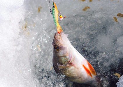 Самые уловистые балансиры Лаки Джон - ТОП-18 рабочих моделей