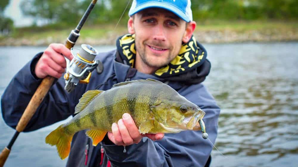 Рыбалка в Ленинградской области - где ловить рыбу на водоемах Ленобласти и СПБ