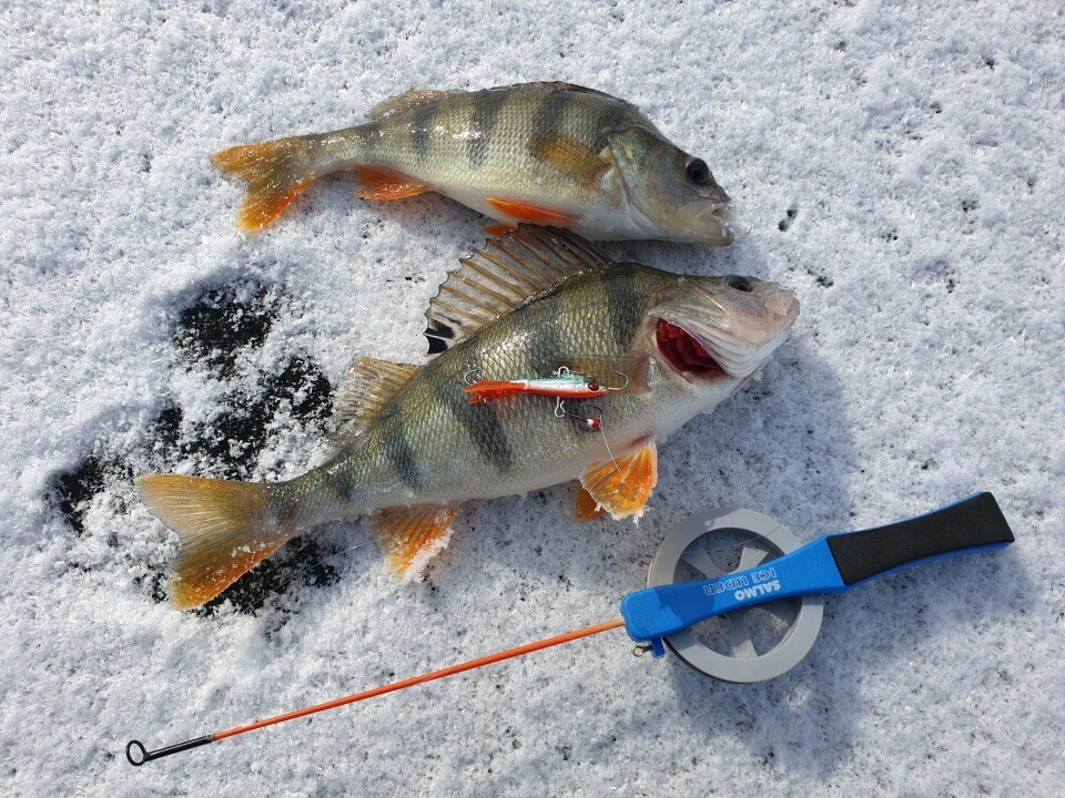 Как ловить на бокоплав - выбор, настройка приманки, проводка