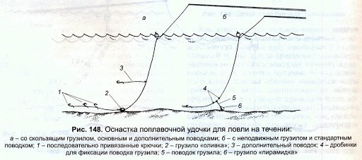 Ловля плотвы на поплавочную удочку: виды оснастки, поиск и тактика рыбалки