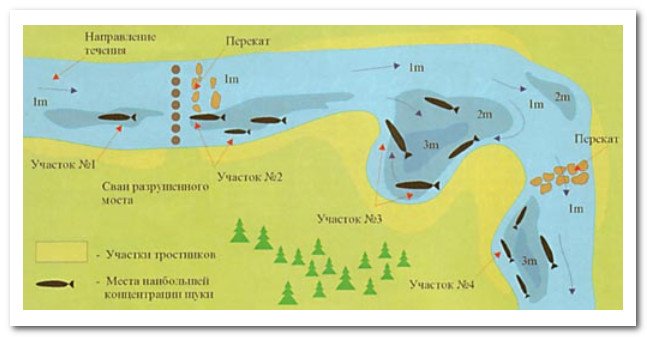 Ловля на джиг осенью с берега и с лодки: тактика и приманки