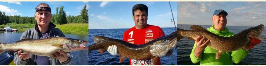 Рыбалка на рыбинском водохранилище: карта, снасти, новости с рыбинки