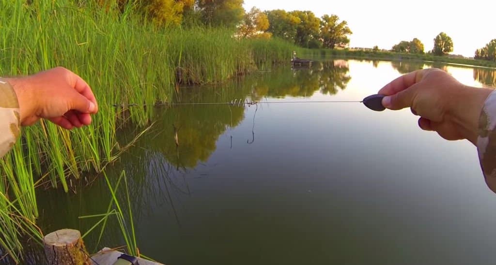 Успешная и эффективная рыбалка на карася: ловля весной, летом и осенью
