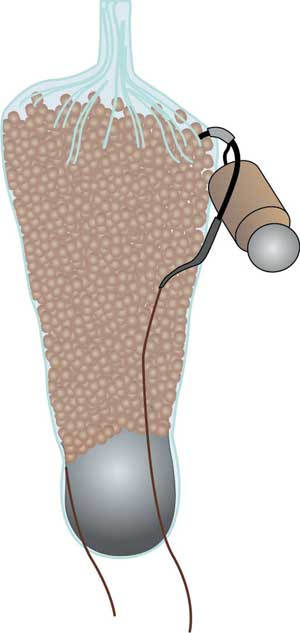 Средства для доставки прикормки при ловле карпа - кобры, рогатки