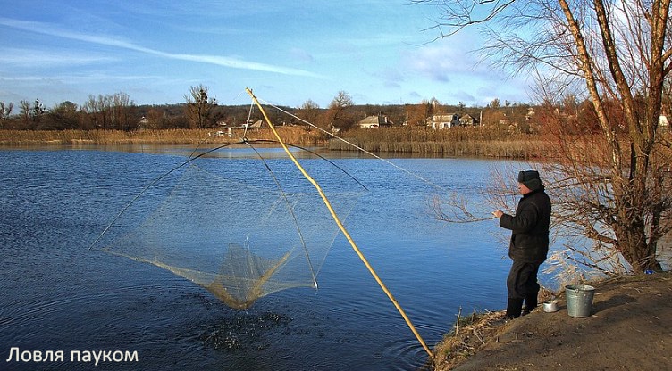 Как поймать осенью живца, сохранить и перевезти на место рыбалки