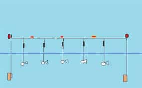 Ловля щуки на живца осенью с берега и лодки: поплавок, донка, кружки