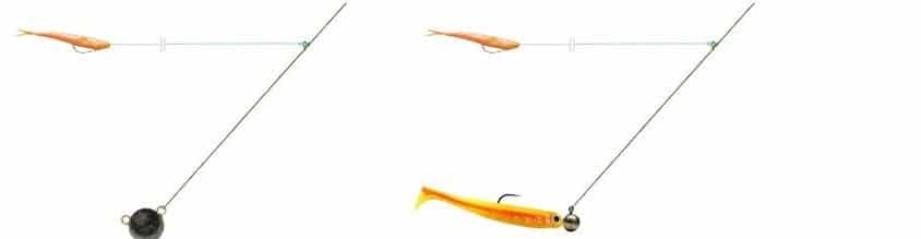 Ловля на спиннинг осенью с берега и лодки, на реках и жабовниках