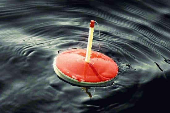 Ловля щуки на кружки осенью - как оснастить, техника ловли