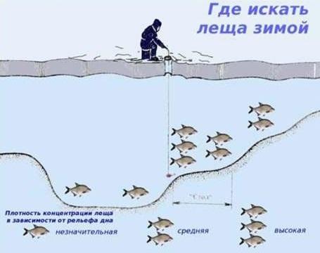 Ловля леща на безмотыльную мормышку: тактика ловли, топ-10 лучших безмотылок