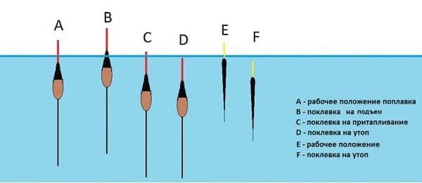 Ловля леща на поплавочную удочку в стоячей воде и на течении