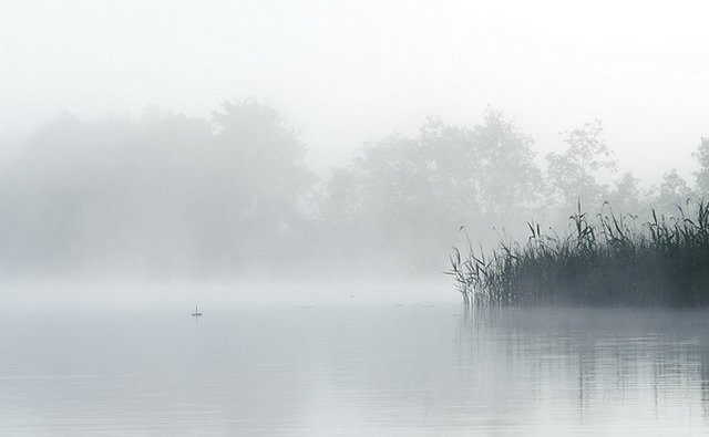 Ловля щуки на кружки: оснастка, где и как ставятся, выбор живца