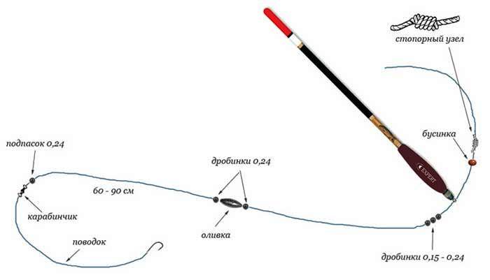 Успешная и эффективная рыбалка на карася: ловля весной, летом и осенью