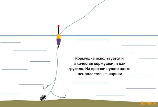 Ловля сазана осенью: где искать и на что ловить