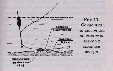 Весенняя ловля сазана: где искать и на что ловить весеннего дикого карпа