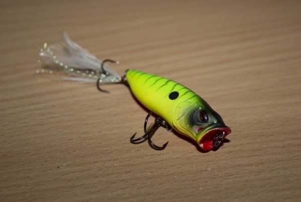 Поппер на щуку