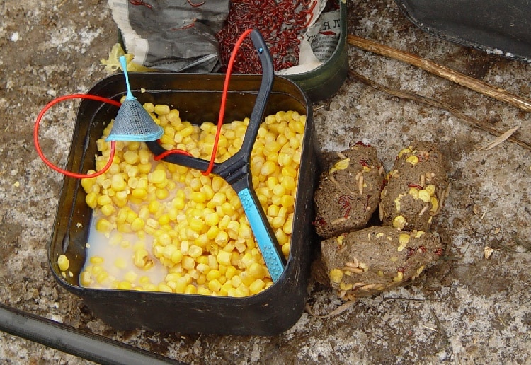 Ловля сазана и карпа на кукурузу: монтаж снасти, как приготовить зерна