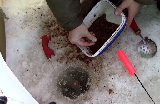 Зимняя прикормка на плотву: лучшие рецепты для разных условий