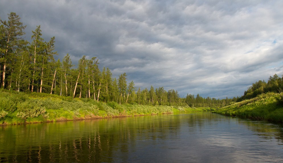 Рыба таймень: описание и фото, как ловить и приготовить