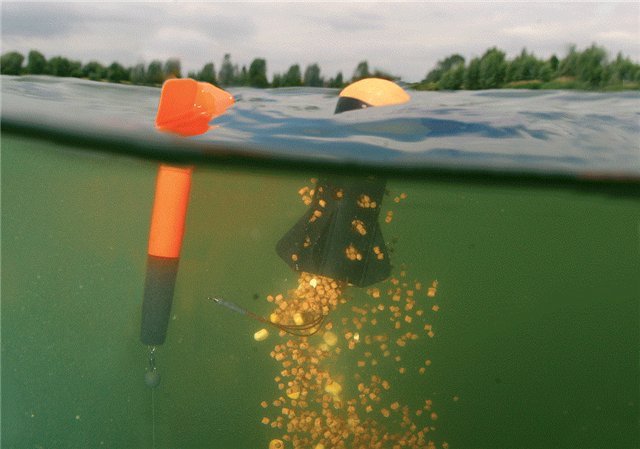 Средства для доставки прикормки при ловле карпа - кобры, рогатки