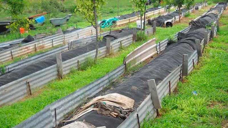 Как развести червей для рыбалки в домашних условиях