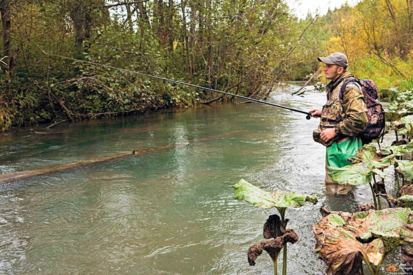 Рыбалка в Курске и области в сезоне 2025: водоемы, карта, отчеты