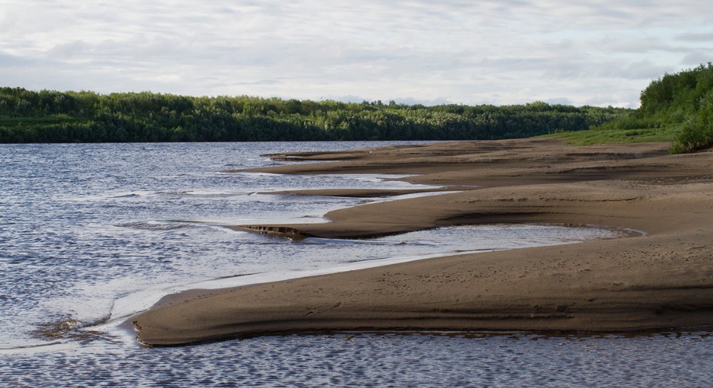 Рыба таймень: описание и фото, как ловить и приготовить