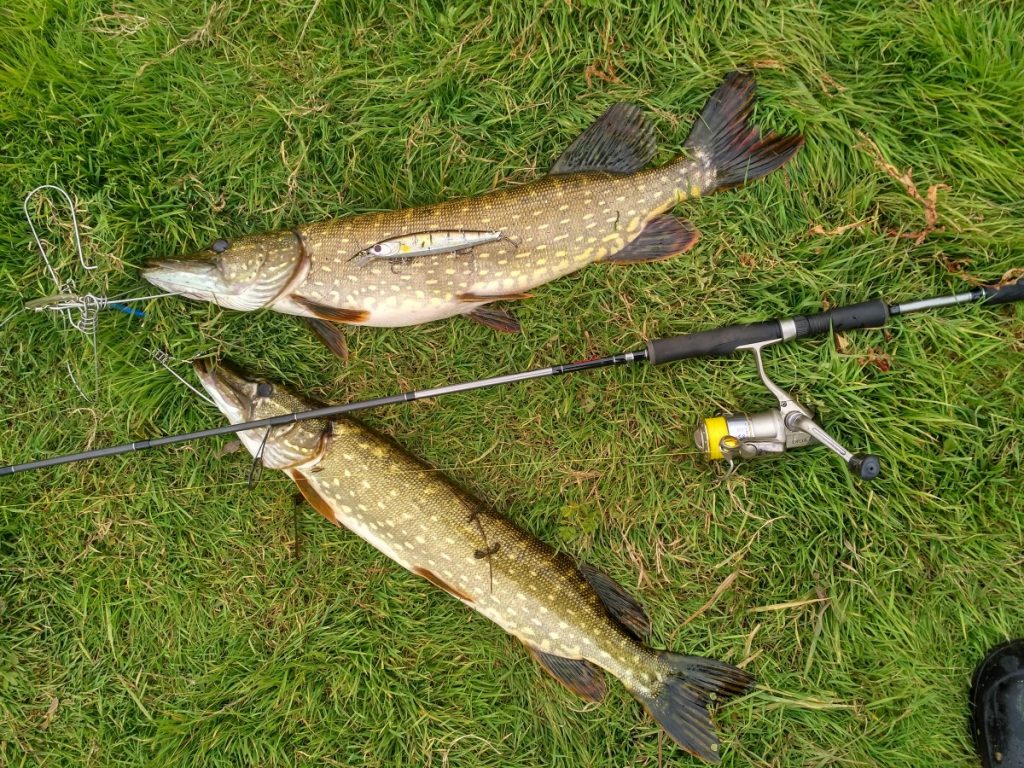 Обзор катушки Ryobi Excia MX 3000: технические характеристики, отзывы