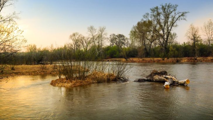 Рыбалка на Оке дикарем и на базах: отчеты 2025, карта рыболовных мест