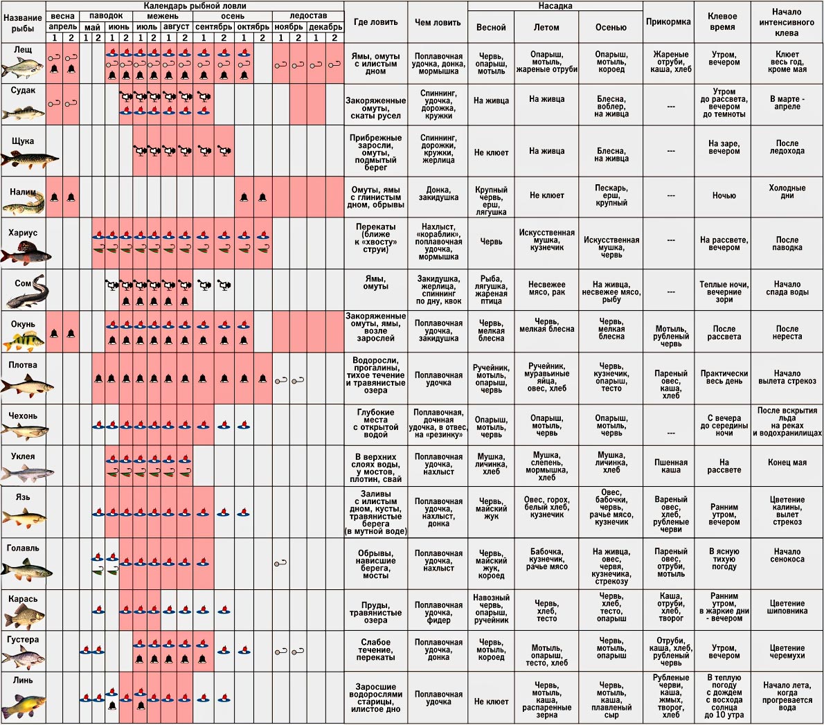 Рыбалка в ноябре на щуку на спиннинг: где искать, когда клюет, приманки