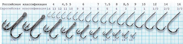 Ловля леща на кольцо с лодки летом и зимой со льда