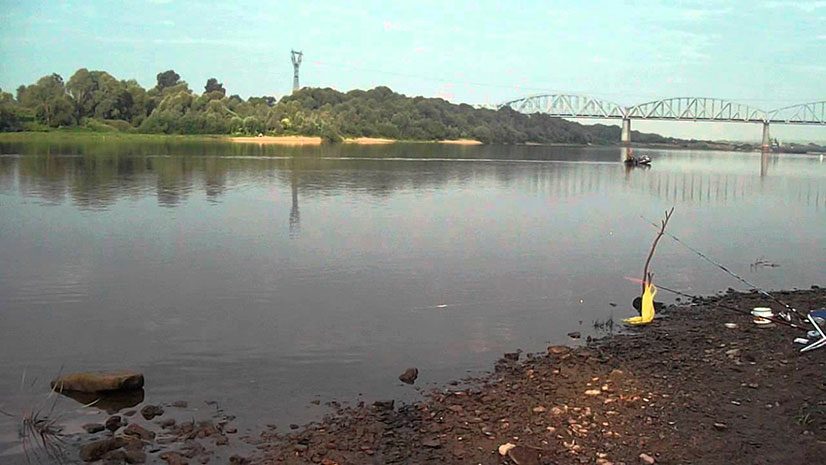 Рыбалка на Оке дикарем и на базах: отчеты 2025, карта рыболовных мест