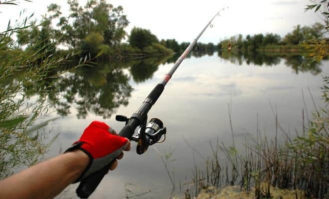 Ловля на спиннинг осенью с берега и лодки, на реках и жабовниках
