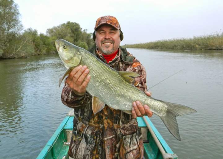 Рыбалка в Астрахани и Астраханской области в зависимости от сезона