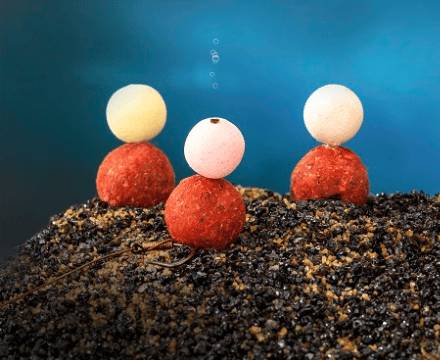 Бойлы Dynamite Baits и другая продукция Динамит бейтс для карпа