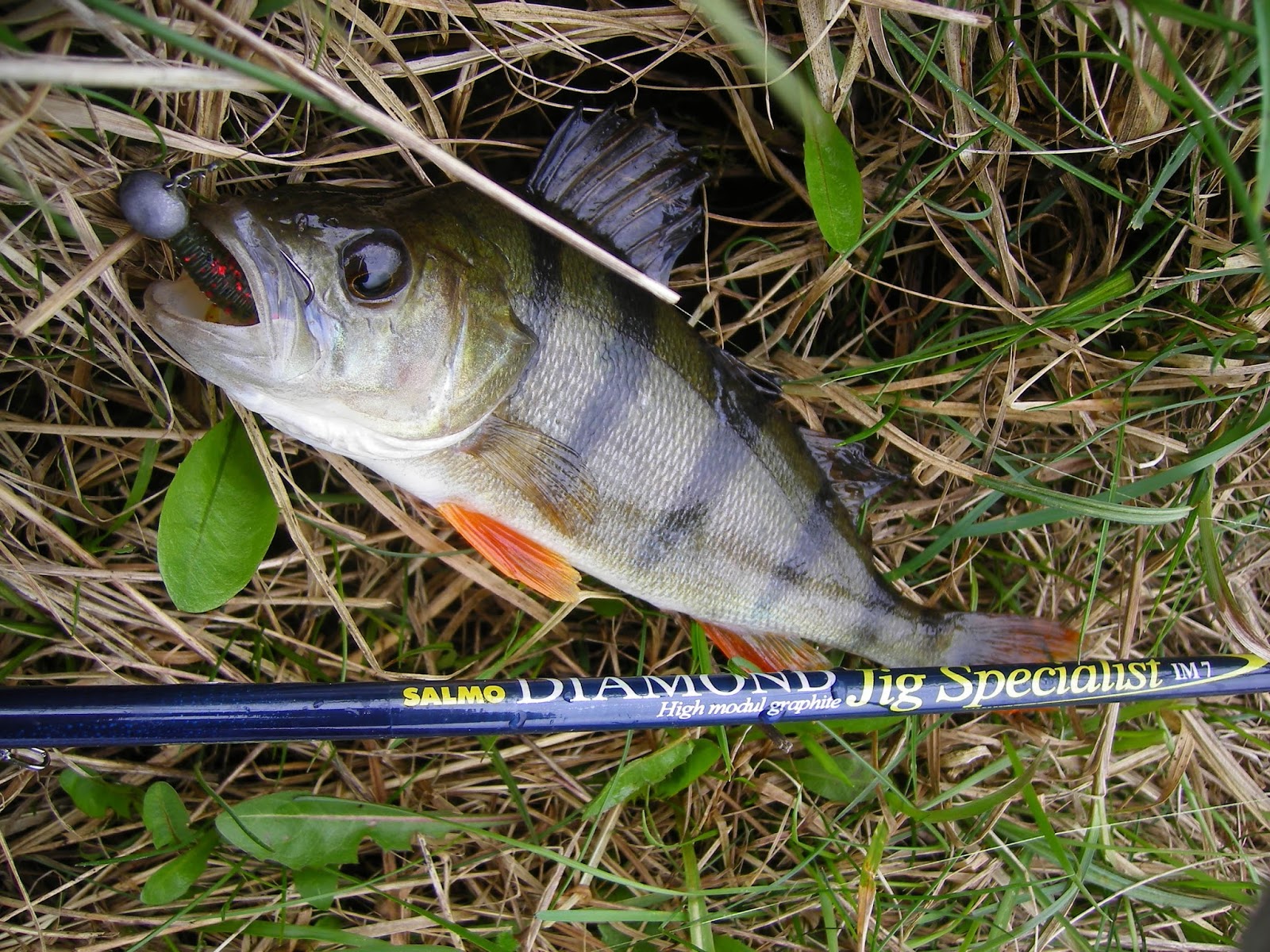 Что такое ультралайтовый спиннинг, как выбрать, ТОП-55 бланков для разных условий ловли