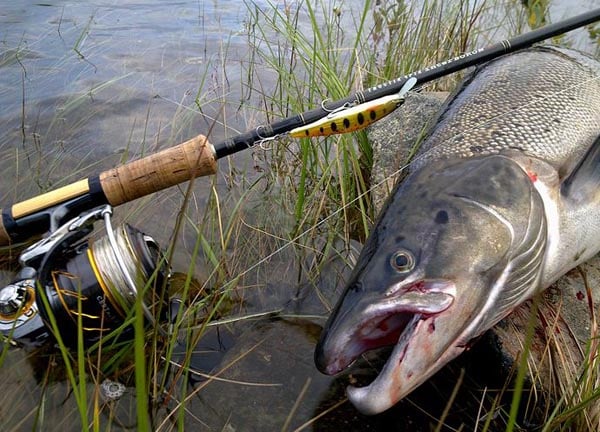 Рыбалка на Кольском полуострове - реальный фото отчет и карта рыболовных мест